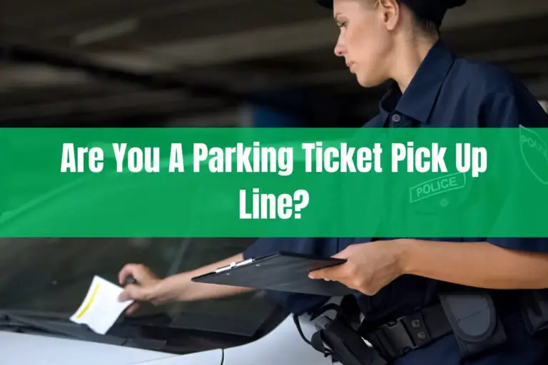 Are You A Parking Ticket Pick Up Line?