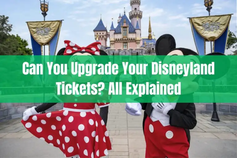 Can You Upgrade Your Disneyland Tickets? All explained