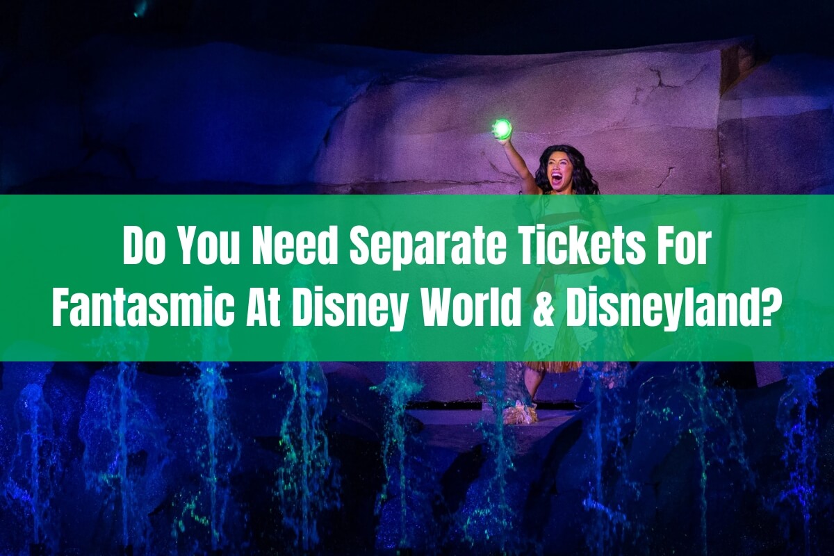 Do You Need Separate Tickets for Fantasmic at Disney World & Disneyland